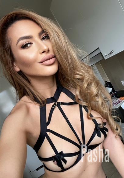 elite london escort PASHA CLARICE